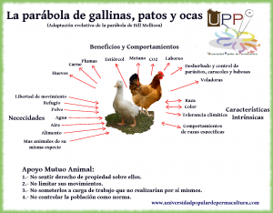la parabola de la gallina