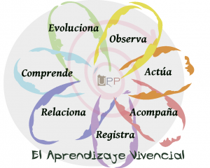 aprender principios permacultura aprendizaje vivencial