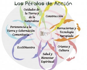 aprender flor permacultura petalos de accion