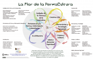 aprender la flor de la permacultura