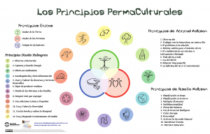 aprender los principios permaculturales
