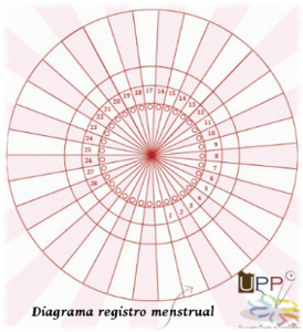 diagrama registro menstrual